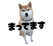 841156473
