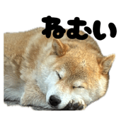 841156482