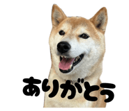 841156484