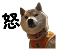 841156488