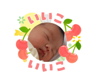 841156553