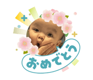 841156661