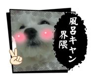 841156726