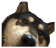 841156758