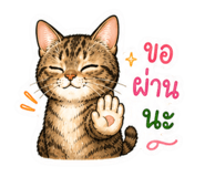 841156805
