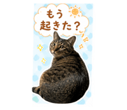 841156832