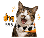 841182261