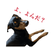 841182684