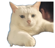 841183402