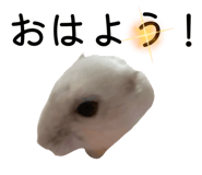841183849