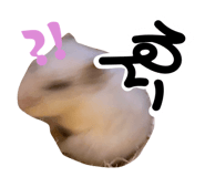 841183854