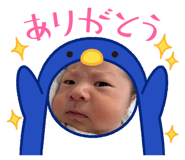 841183991