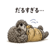 841184706
