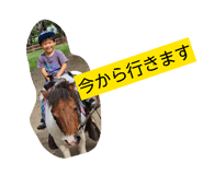 841184777