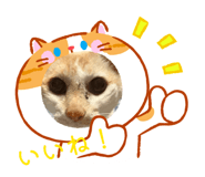 841184851