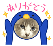 841184883