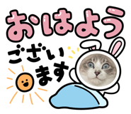 841184899