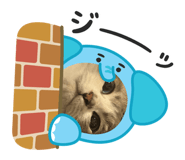 841184906