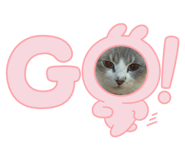 841184910