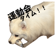 841184986