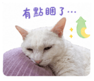 841205206