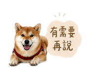841205224