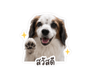 841205617