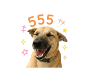 841206468