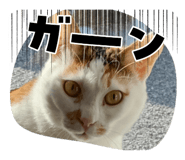 841206797