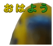841208009