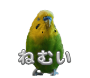 841208015