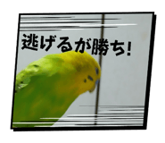 841208018