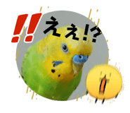 841208024