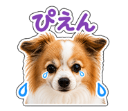 841208061