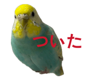841208420