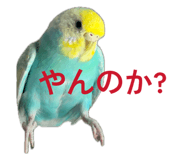 841208421
