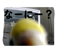 841208437