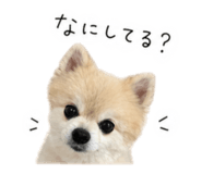 841209335