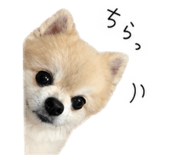 841209341