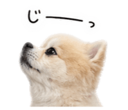 841209355