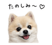 841209364