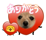841209571