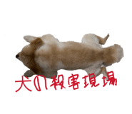 841209572