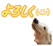 841209617