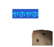 841209622