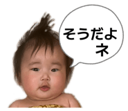 841209962