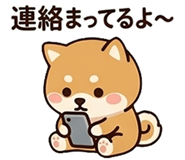 841210456