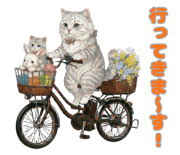 841217635