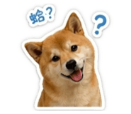 841218276