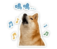 841218283